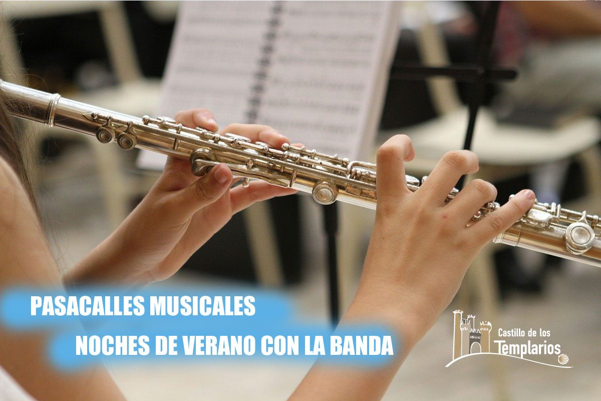Pasacalles musicales